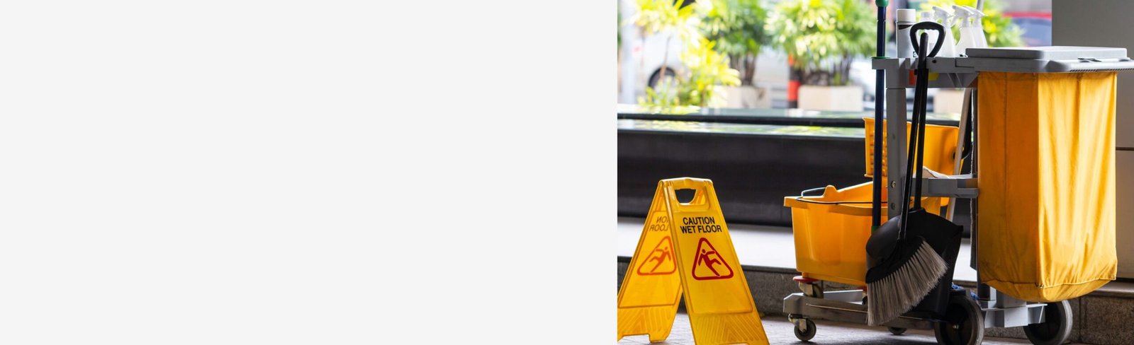 Home - Pro Cleanup